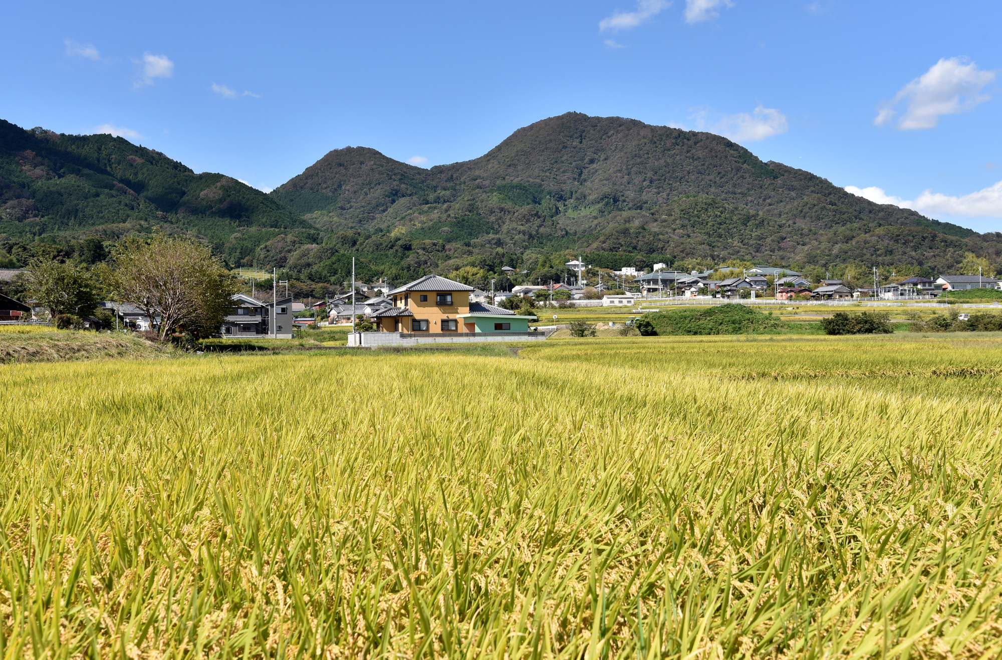 太子町